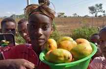 All inclusive 7 days and 6 nights to the South melting tribes of Omo Valley
