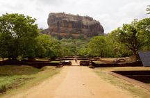 Sigiriya Hike & Minneriya Park safari Private Day Tour.