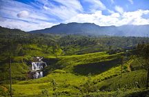 8 Days Sri Lanka Tour-3* Accommodation with Breakfast