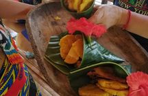 Private Embera village Eco-Cultural Tour, jungle waterfall, and nature hiking 