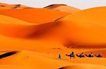 Merzouga Camel Trekking & Overnight Desert Camp