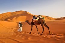 Merzouga Camel Trekking & Overnight Desert Camp