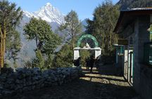 Everest Short Trek – 5 Days