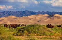 16 Days Mongolian Tour- from Gobi Desert to Steppe and culture