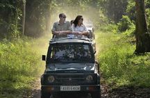 Sariska Tiger Reserve Safari tour from Jaipur