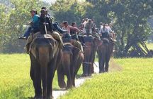 Sariska Tiger Reserve Safari tour from Jaipur