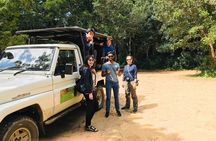 Minneriya Elephant Safari With Sigiriya Rock & Dambulla Cave Temples (Full Day)