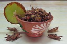 Premium Mezcal Tasting and Class