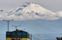 Excursion to Cotopaxi National Park and Limpiopungo Lagoon 