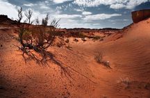 6 Days Color of Gobi Desert 