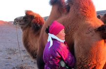 6 Days Color of Gobi Desert 