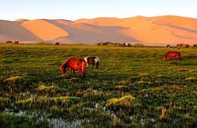6 Days Color of Gobi Desert 
