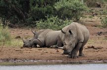 04 Nights 05 Days Camping Safari
