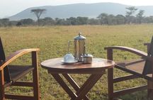 4-Day Serengeti, Olduvai Gorge and Ngorongoro Safari from Mwanza to Arusha