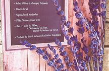 History and Van Gogh in Provence from AIX-EN-PROVENCE