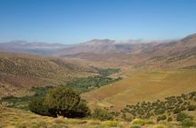 Guided Tour | Atlas trekking tour: 4068 m (7 days)