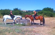 Private Horseback Riding and Muir Woods Adventure from San Francisco
