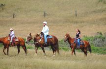 Private Horseback Riding and Muir Woods Adventure from San Francisco