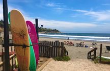 Surfing, Sandboarding & wild Sea lions + Chilean drinks & food