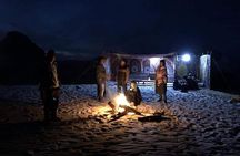 3 Days 2 Nights White Desert and Bahariya Oasis Tour