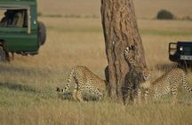 5 Days Highlights of Kenya