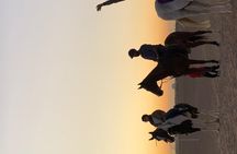 Desert Horse Riding Experience in Dubai