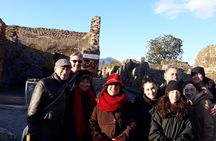 Visit Pompeii with an expert professional guide (2/3 hours)