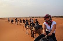 1 Night in desert Merzouga with Camel trek - Erg-Chebbi, Morocco
