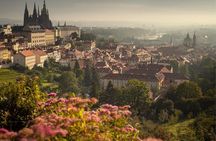 VIP Private tour Prague: Castle, Lunch, Beer, Boat