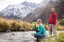 Milford Sound Coach & Cruise ex Te Anau Stunning Views with Lunch