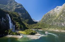 Milford Sound Nature Cruise with Southern Discoveries