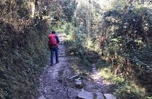 Australian Camp Hiking