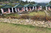 Australian Camp Hiking