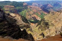 Private Waimea Canyon Tour