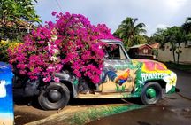 Private Waimea Canyon Tour
