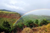 Private Waimea Canyon Tour