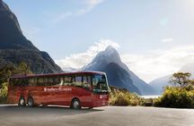 Milford Sound Coach & Cruise ex Te Anau Stunning Views with Lunch