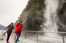 Milford Sound Nature Cruise with Southern Discoveries