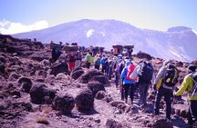 1 Day Kilimanjaro Climb via Machame Route