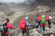 1 Day Kilimanjaro Climb via Machame Route
