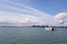 Halong Bay Shore Excursion: Full Day Cruise Tour from Cruise Port