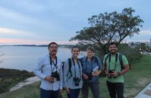 Full Day Birdwatching and Nature Tour