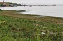 Full Day Birdwatching and Nature Tour