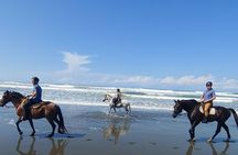 Quality HorseBack Riding On The Beach Of Esterillos Este