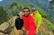 Nine Arch Bridge, Ella Rock and Little Adam's Peak Day Tour with Lunch