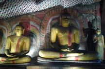 All inclusive Private Day tour Sigiriya, Dambulla & traditional village tour