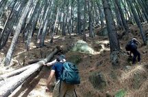 Trekking to The Highest Waterfall in Sri Lanka from Ella