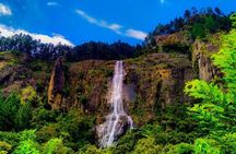 Trekking to The Highest Waterfall in Sri Lanka from Ella