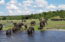 5 Days 4 Nights Budget Adventure Safari In Victoria Falls & Chobe National Park