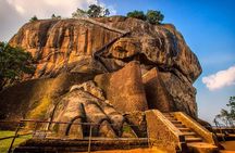 Full Day Tour to Sigiriya, Dambulla and jeep Safari from Colombo